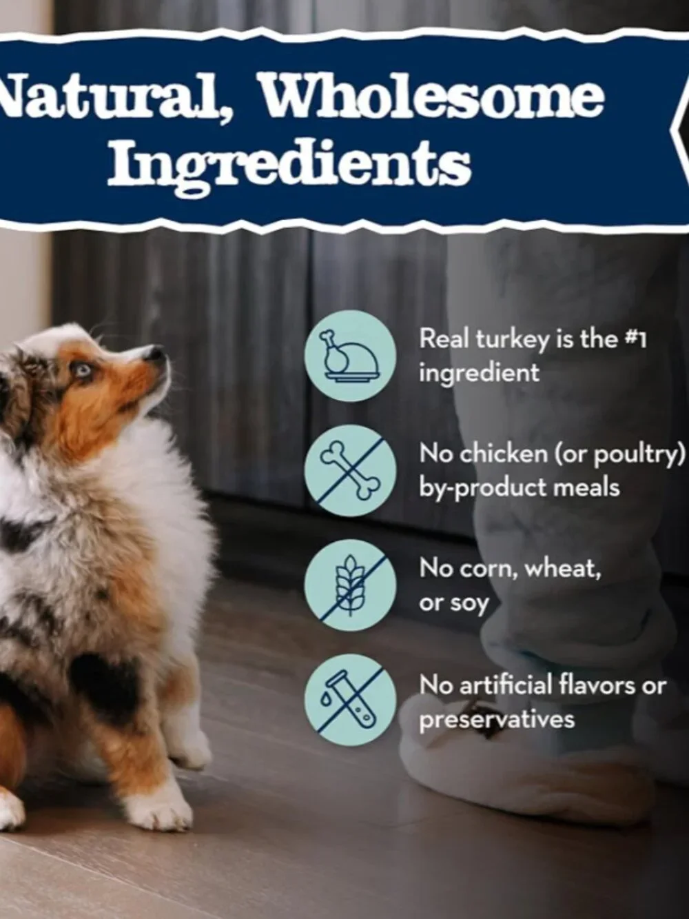 9 pack Blue Buffalo Baby BLUE Turkey & Vegetable Puppy Wet Dog Food, 12.5 oz ea.